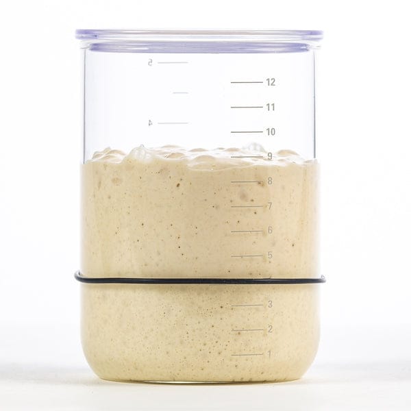 Brod & Taylor Sourdough Starter Jar