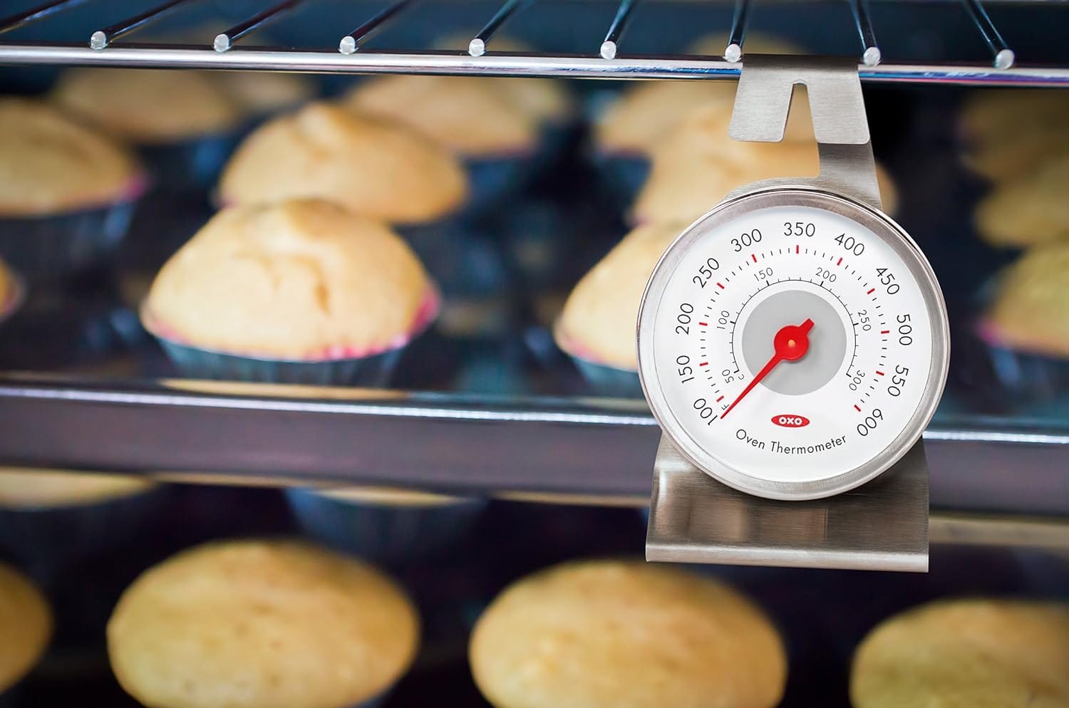 OXO Good Grips Chef's Precision Oven Thermometer