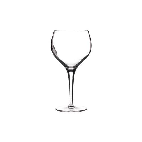 Luigi Bormioli Michelangelo Burgundy Wine Glass (Set Of 4)