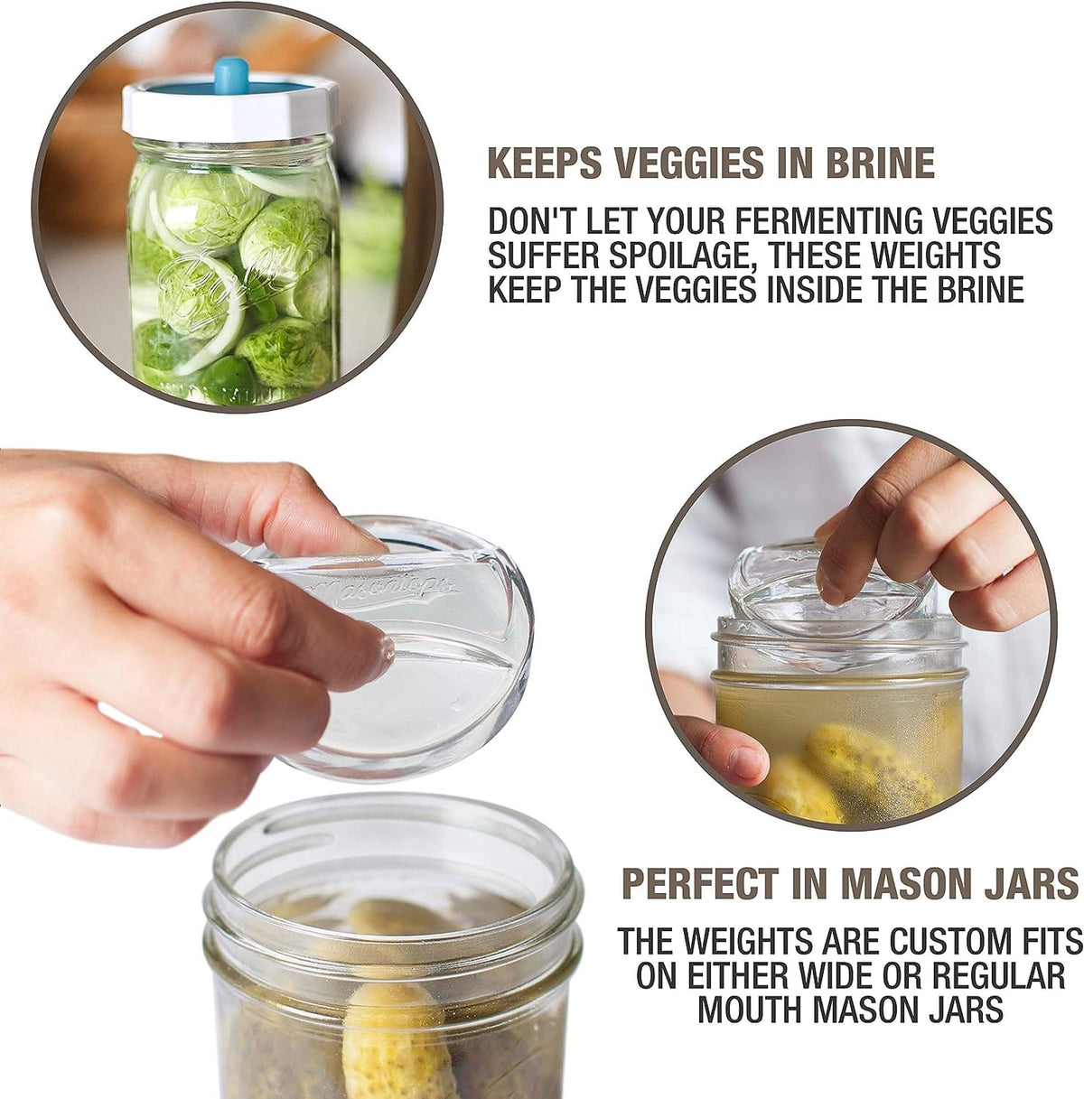 Masontops Fermenting MasonTops Regular Mouth Pickle Pebbles (Pack of 4)