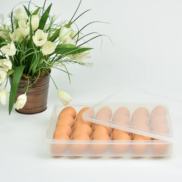 Omniware 24 Eggs Rectangle Plastic Food Storage Container with Lid