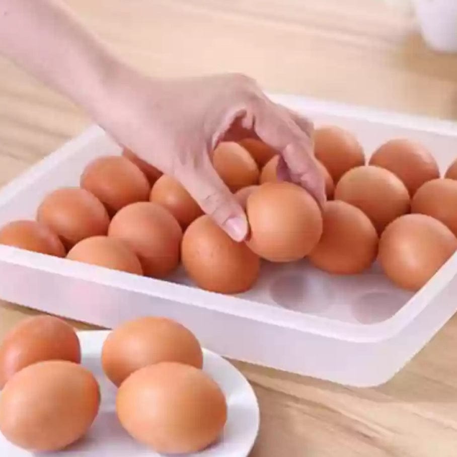 Omniware Food Carriers Omniware 24 Eggs Rectangle Plastic Food Storage Container with Lid