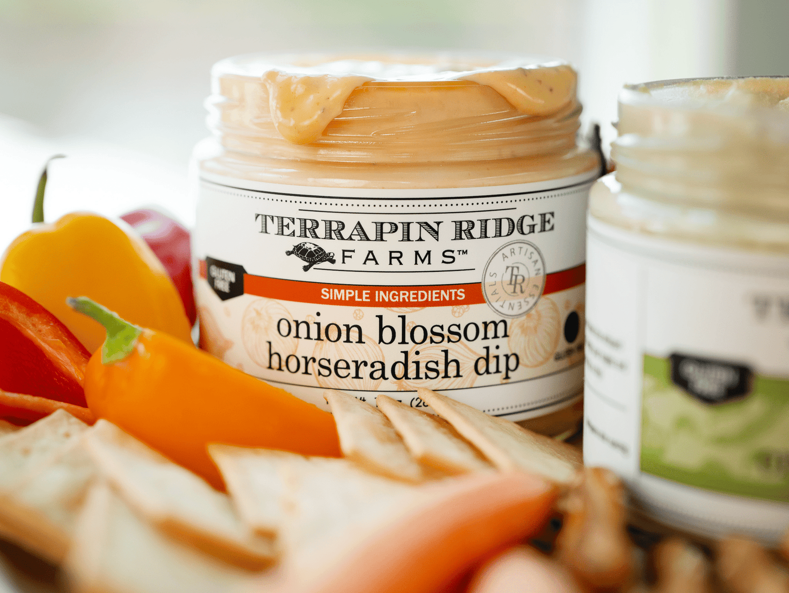 Terrapin Ridge Farms Onion Blossom Horseradish Dip 11 oz