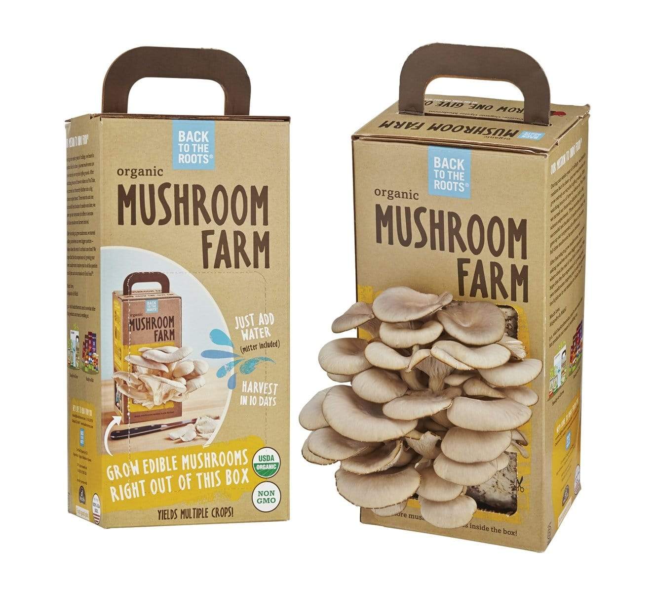 Back to the Roots Mushroom Kit Back to the Roots Mushroom Kit