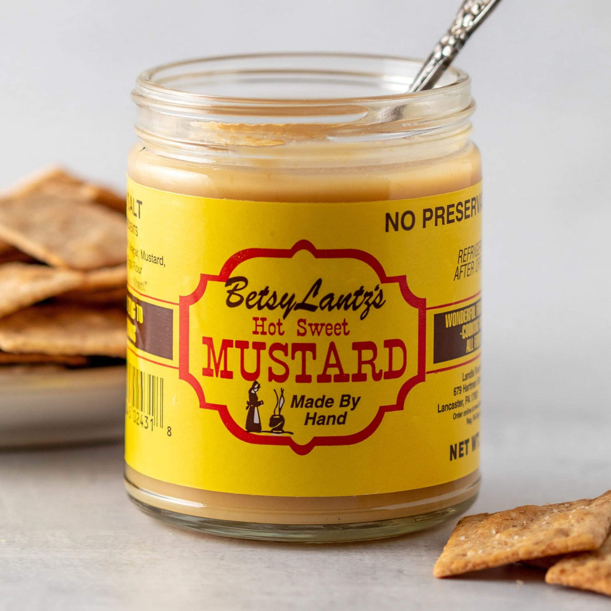 Betsy Lantz's Hot Sweet Mustard