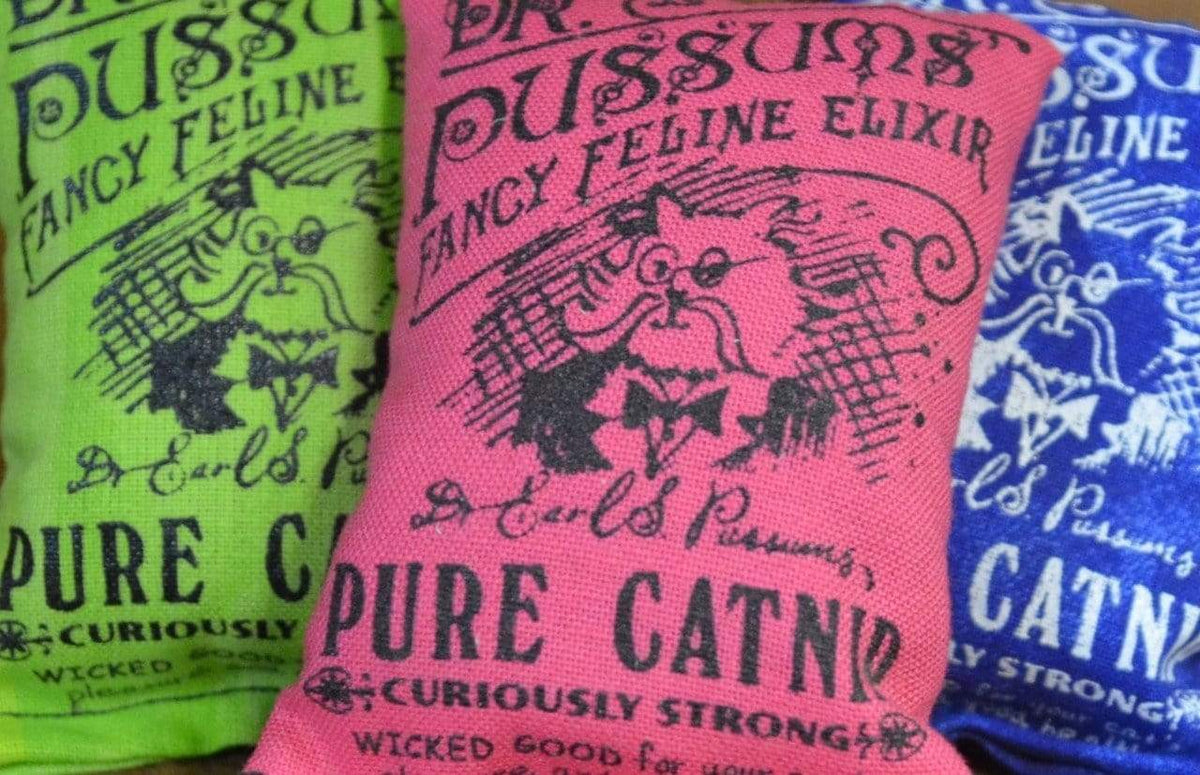 Dr Pussums Pure Cat Nip