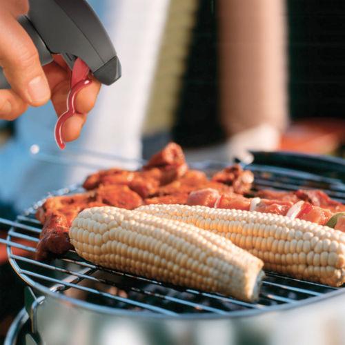 Evo Oil Sprayer