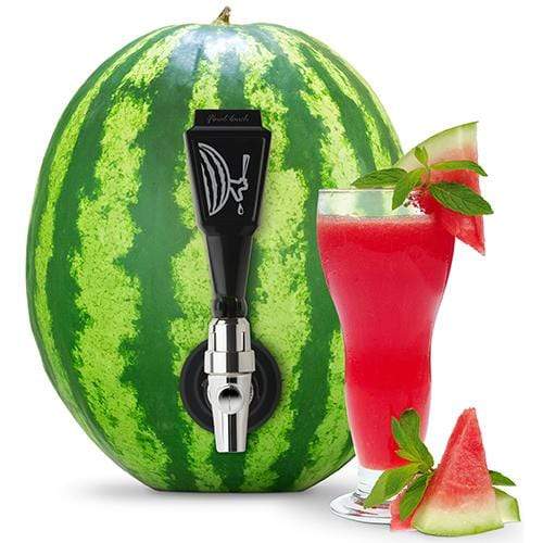 https://kitchenandcompany.com/cdn/shop/products/kitchen-company-watermelon-keg-tapping-kit-886245005990-19595785928864_600x.jpg?v=1604525989