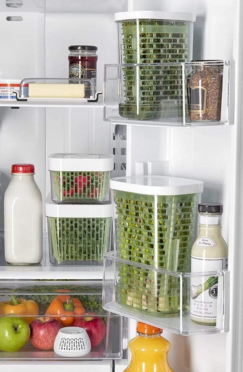 OXO GreenSaver Herb Keeper - Small