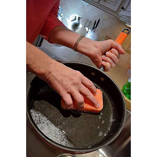Dish Scrubber Peachy Clean