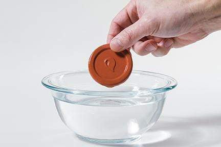 Progressive Prepworks Brown Sugar ProKeeper